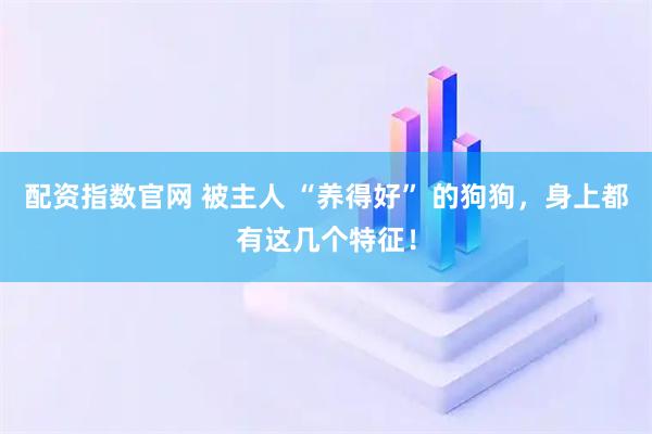 配资指数官网 被主人 “养得好” 的狗狗，身上都有这几个特征！