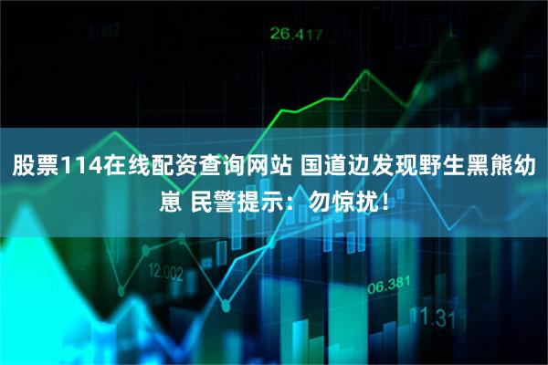 股票114在线配资查询网站 国道边发现野生黑熊幼崽 民警提示：勿惊扰！